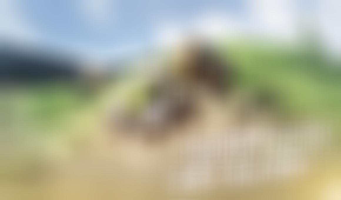 Aniimo Game Interactive World